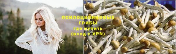 герыч Инсар
