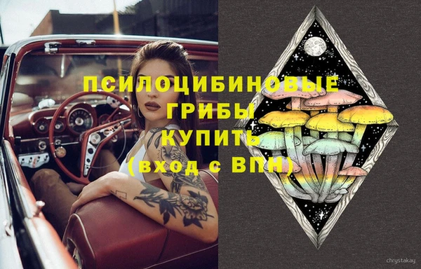 соль ск Инта