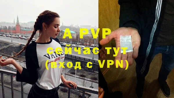 не бодяженный Иннополис